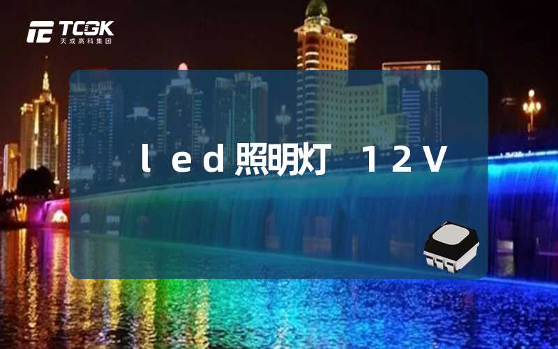 led照明灯 12V